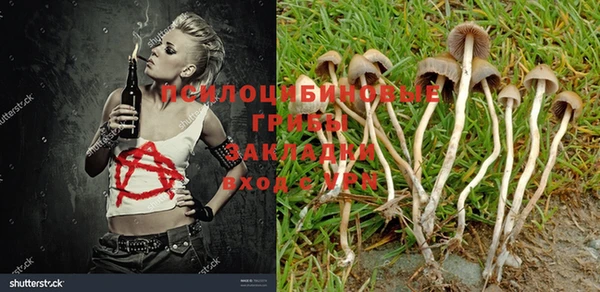 прущая мука Волгодонск