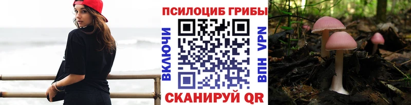 Галлюциногенные грибы мицелий Хилок
