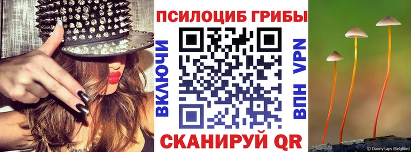 маркетплейс состав  где купить наркоту  Хилок  Галлюциногенные грибы мицелий 